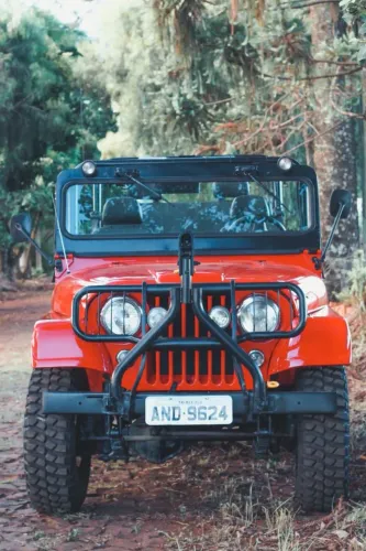 Jeep Wrangler Rubicon 2.0 Turbo 4X4 4P Aut. 1962