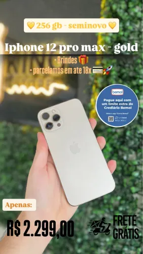 Iphone 12 pro max - 256 gb