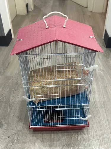 Gaiola 3 andares e gaiola grande para hamster