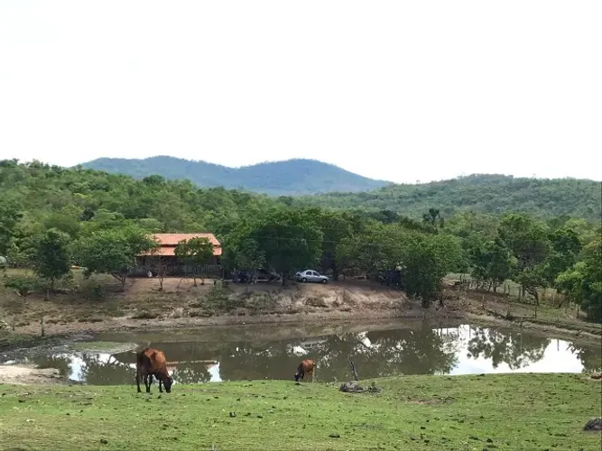 Fazenda de 17 Alqueires - Excelente Localização e Grande Potencial