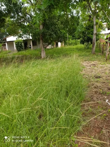 Sitio em São Cristóvão 
