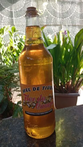 Vendo mel de abelha Tiúba