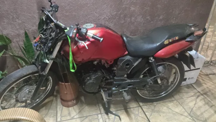 motinha de leilão 