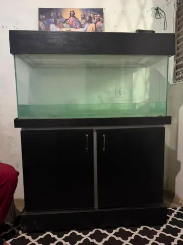 Aquario com móvel projetado