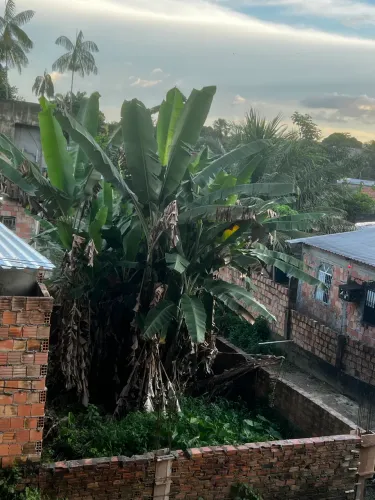Vendo terreno no novo Aleixo