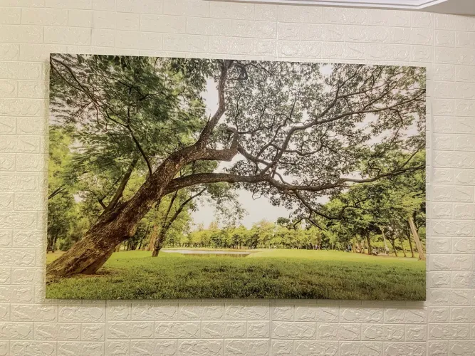 Quadro