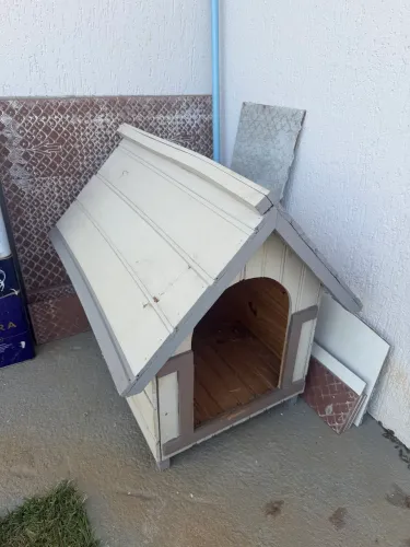 Casinha de cachorro 
