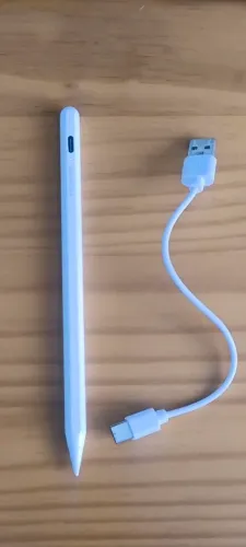 Caneta para iPad