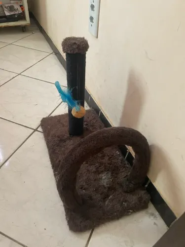 BRINQUEDO PARA GATO