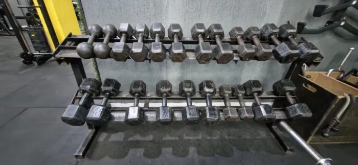 Kit Dumbells 12 a 30