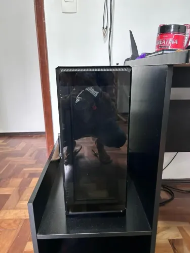 Desktop AMD Ryzen 5 5600G 16 GB RAM hd500GB