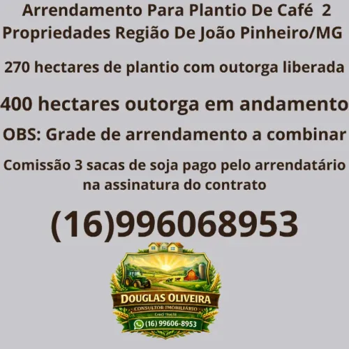 Arrendamento Para Plantio De Café  2 Propriedades Região De João Pinheiro/MG