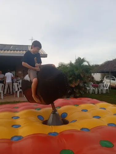 Touro mecânico
