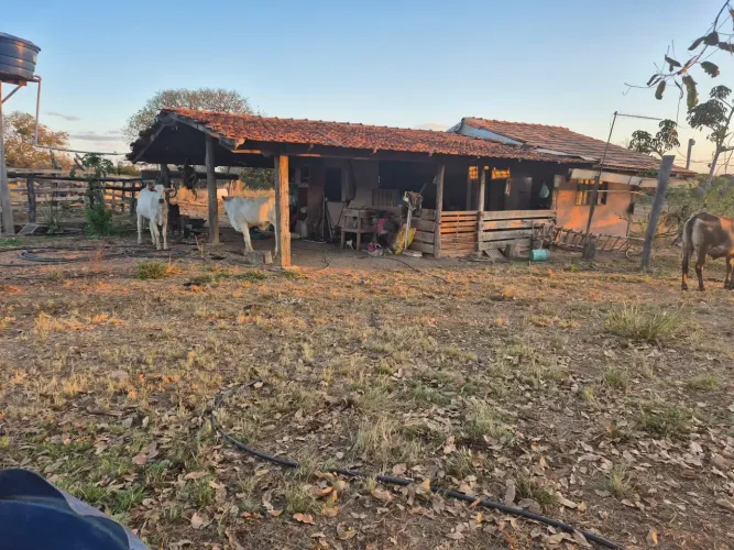 A&M IMOVEIS VENDE FAZENDA COM 91.8HECTARES EM CABECEIRAS GO