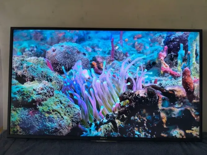 TV 49" SONY ANDROID | Revisada e Testada | Garantia 90 Dias | 4,8 Google