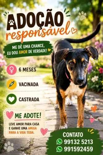 Adoção responsável
