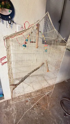 Gaiola em ferro grande 