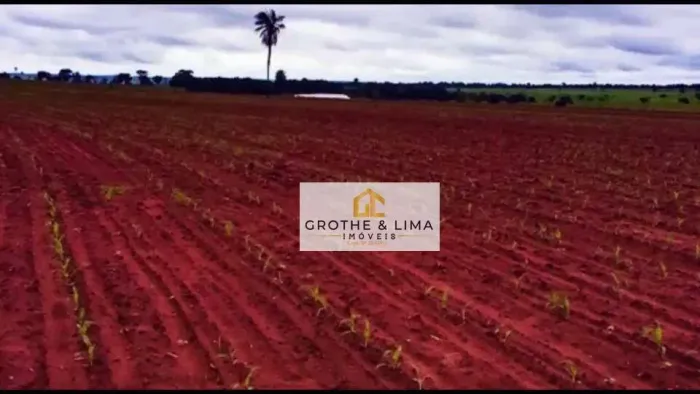 Fazenda com 6 dormitórios à venda, m² por R$ 380.000.000,00 - Área Rural de Presidente Pr