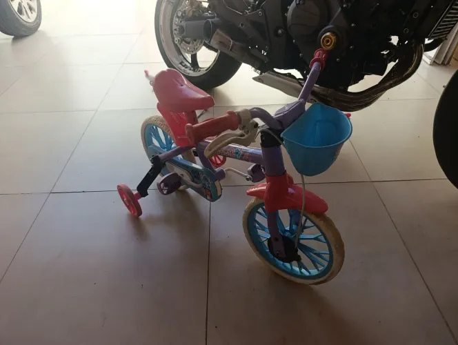 Bicicleta infantil tam 12