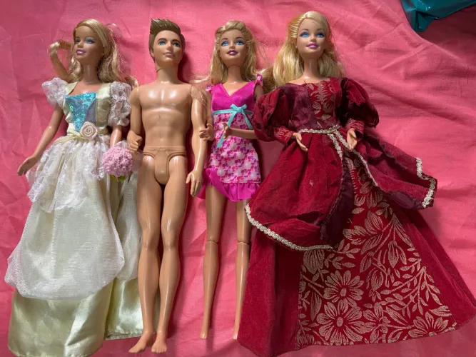 Lote de Barbies e Ken