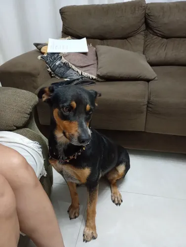 Doaçäo
