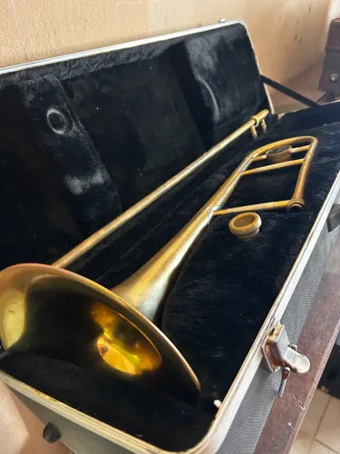 Trombone Dolphin