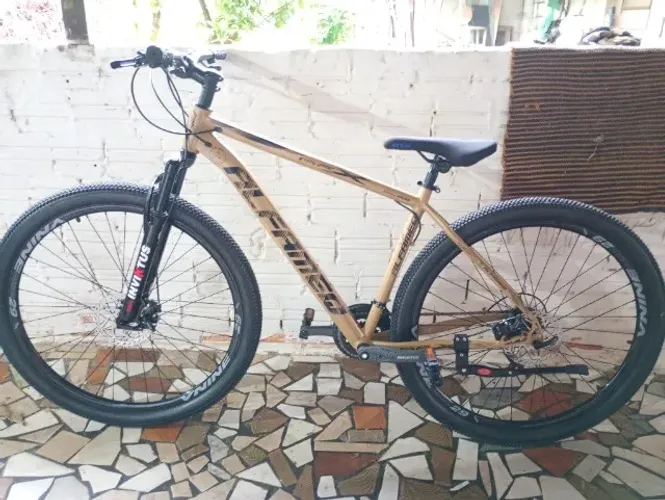 Bicicleta Alfameq aro 29