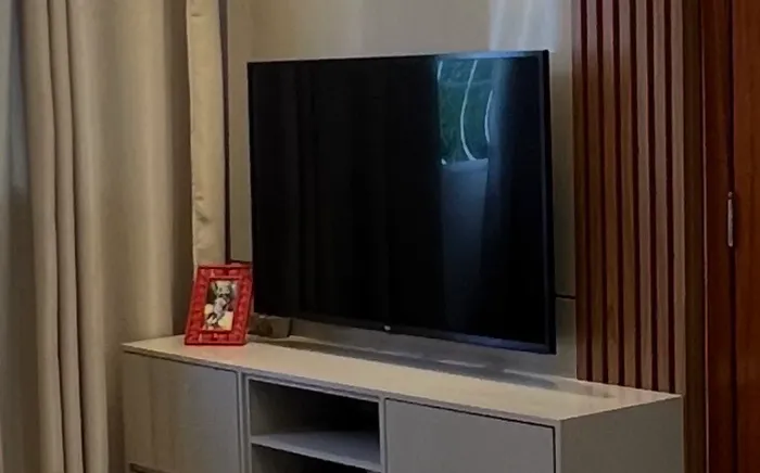 Televisão 55 polegadas LG