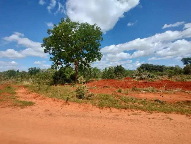 Chácaras com 20.000m2 Financiadas às Margens da Rodovia 040 Paraopeba MG.