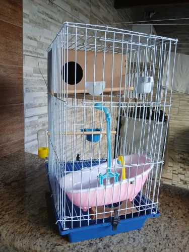 Gaiola completa - Seminova