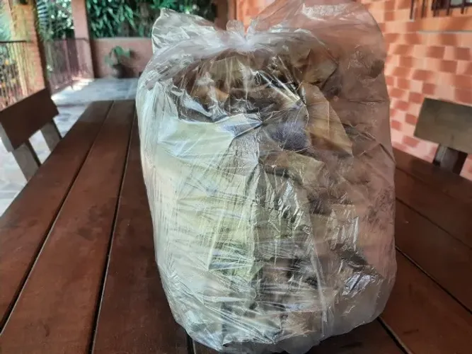   Folhas de espinheira santa
