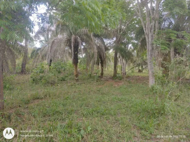 Fazenda para cria e recria de gado em Ipameri, GO