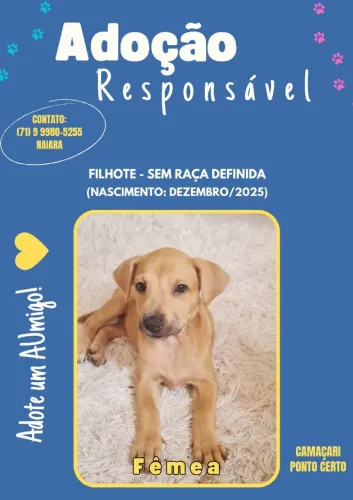 Adoção Responsável