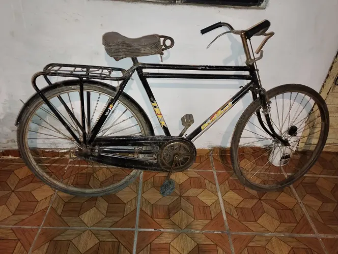 Bicicleta Philips