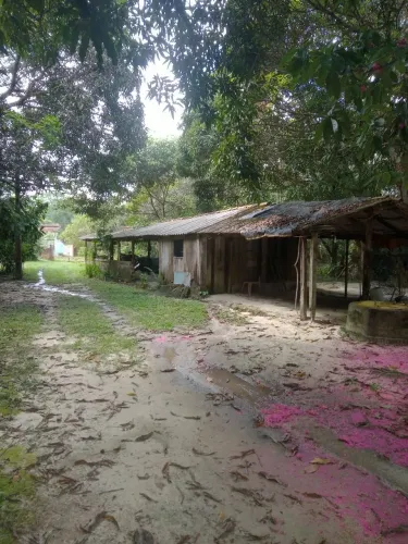 Está iterpa