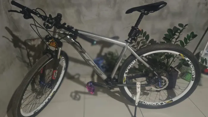 Bike Ecos 29