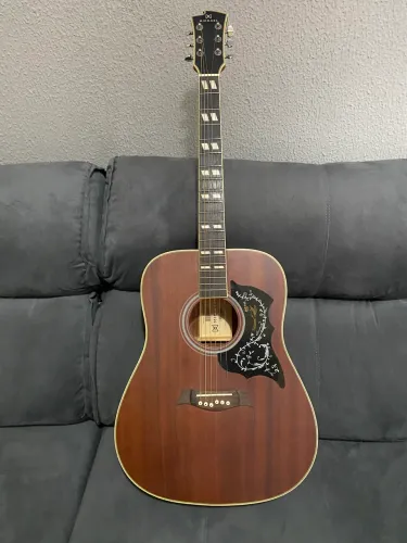 VENDO VIOLÃO MICHAEL VM925DT MH