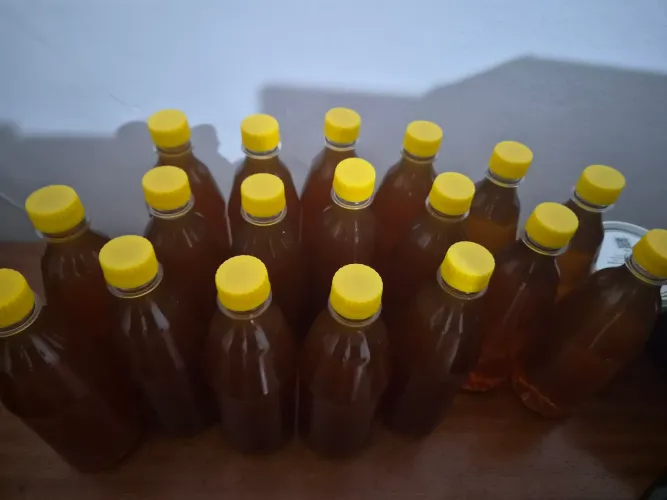 Mel orgânico 500 ml