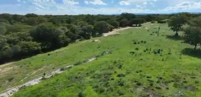 Fazenda 