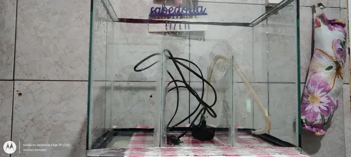 Aquario zero bala