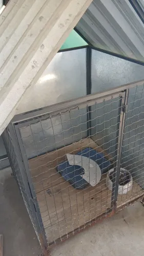 Vendo uma casinha para cachorro q pode ser um viveiro também..
