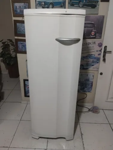 Freezer vertical Electrolux 220 L entrego ler anúncio
