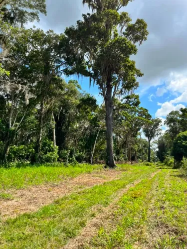 Chácara  2,1 Hectares