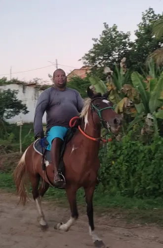 Vendo Égua Mestiça de Mangalarga