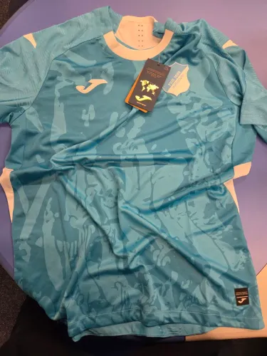 Camisa Hoffenheim 25/26 away