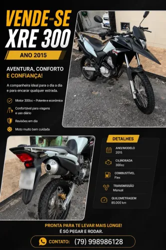 XRE 300