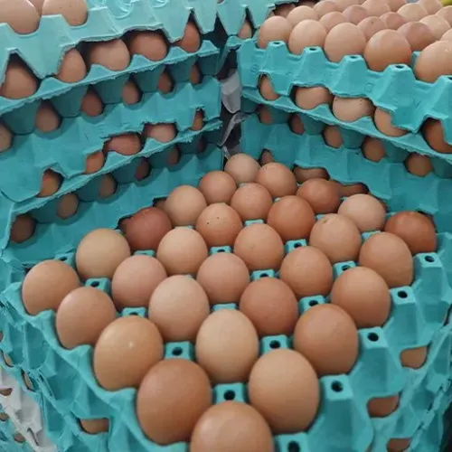 Ovos vermelhos Grandes e medios