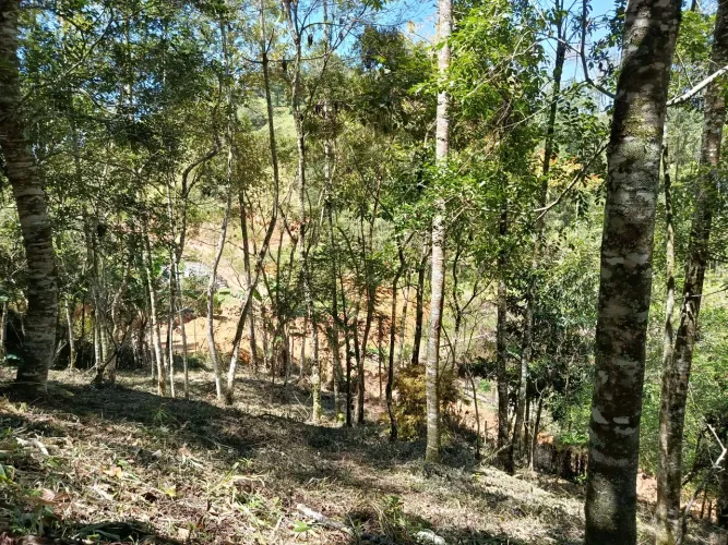 Terreno em Patrimônio da Penha