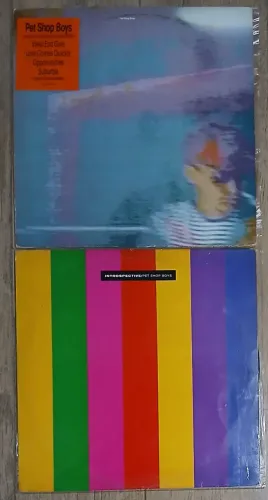2 Discos de Vinil Pet Shop Boys