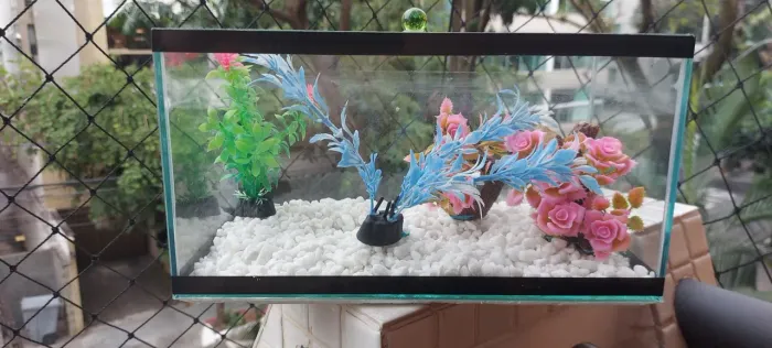 Vendo 2 aquários